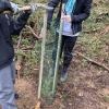 Mitarbeit im Wald - Klassen helfen bei der Aufforstung