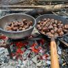 6a mit Marroni im Wald