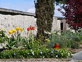 26.04.2023 Rabatte vor der Kirche