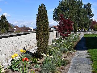26.04.2023 Denkmalgeschütze Friedhofmauer