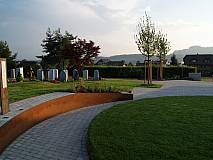 Schattenbäume Ahorne