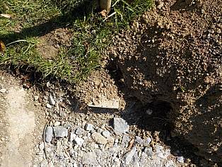 Abschluss Lager / Humus