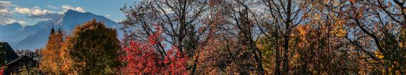 Herbstlicher Blick auf den Niesen