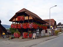 Wunderschöne Geranien am Spycher an der Bernstrasse