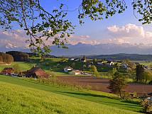 Blick vom Lerchebergweg zum Hängert